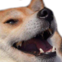 :doge-laugh: